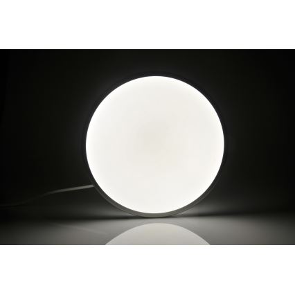LED stropno svetlo KERN LED/24W/230V nikl