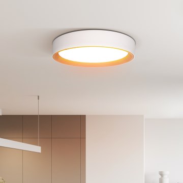 LED stropno svetlo LARIOS (prigušiva) LED/48W/230V 3000–6500K prečnik 39 cm, belo + daljinski upravljač
