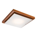LED stropno svetlo LED/12W/230V borovina