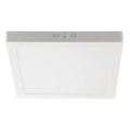 LED stropno svetlo LED/6W/230V 4000K 12x12 cm belo