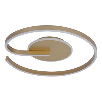 LED stropno svetlo LORENZO LED/22W/230V, prečnik 50 cm, zlatno