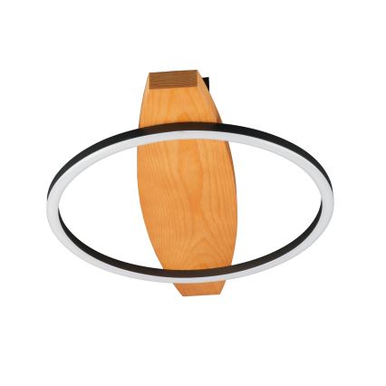 LED stropno svetlo MELISA LED/12W/230V 30x40 cm borovina