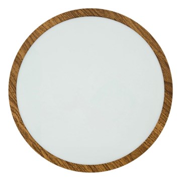 LED stropno svetlo RING LED/24W/230V 4200K, prečnik 28,5 cm, braon