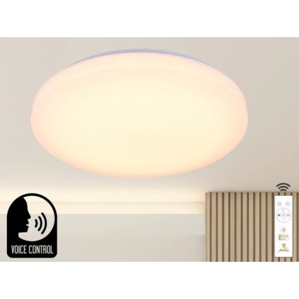 LED prigušiva stropna svetiljka sa glasovnim upravljanjem OPAL LED/48W/230V 2700-6500K bela + daljinski upravljač