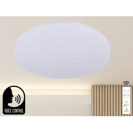 LED prigušiva stropna svetiljka sa glasovnim upravljanjem OPAL LED/48W/230V 2700-6500K bela + daljinski upravljač
