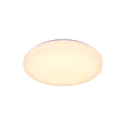 LED prigušiva stropna svetiljka sa glasovnim upravljanjem OPAL LED/48W/230V 2700-6500K bela + daljinski upravljač