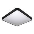 LED stropno svetlo WILTON LED/24W/230V 37,5x37,5 cm crna