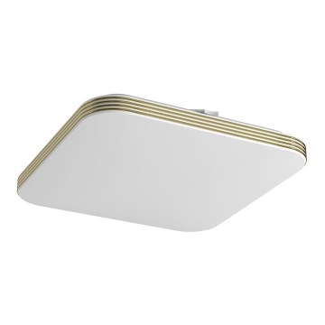 LED stropno svetlo za kupatilo DABAR LED/17W/230V 4000K 33x33 cm IP44