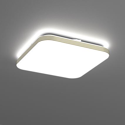 LED stropno svetlo za kupatilo DABAR LED/17W/230V 4000K 33x33 cm IP44