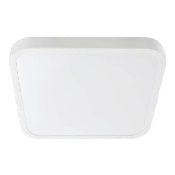 LED stropno svetlo za kupatilo LED/48W/230V 6500K IP44 42x42 cm belo