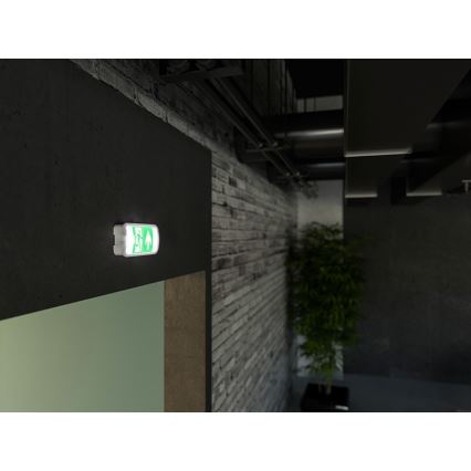 LED svetiljka za hitne slučajeve VIRGO EVO LED/1W/230V 6000K IP65