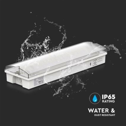 LED svetiljka za izlaz u nuždi LED/3W/230V 6400K IP65