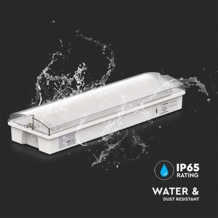 LED sigurnosno svetlo sa redovnim testom funkcionalnosti IZLAZ U NUŽDI LED/3W/230V 6400K IP65