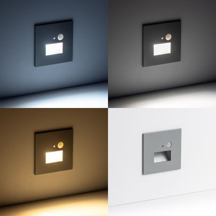 LED svetlo za stepenište sa senzorom pokreta i sumraka LED/1,5W/230V 3000/4000/6000K srebrna