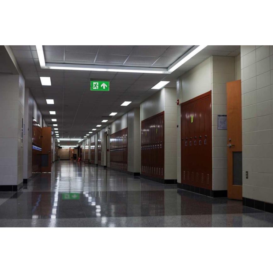 LED svetlo za hitne slučajeve LED/4,5W/230V 6500K