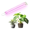 LED světlo za montažu ispod kuhinjske jedinice za uzgoj biljaka GROWLY 2xLED/8,5W/230V belo