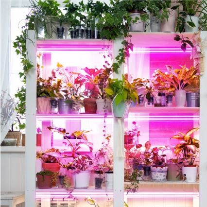 LED světlo za montažu ispod kuhinjske jedinice za uzgoj biljaka GROWLY 2xLED/8,5W/230V belo