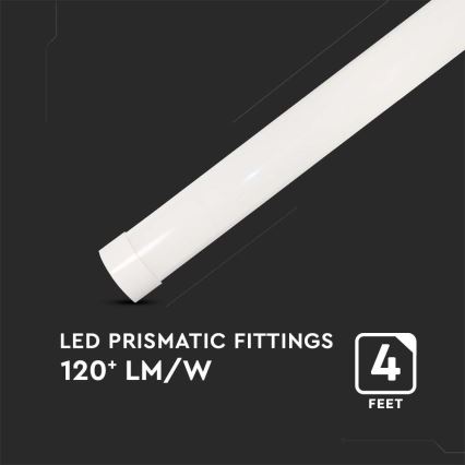 LED svetlo za ugradnju ispod ormara LED/40W/230V 6500K 116 cm