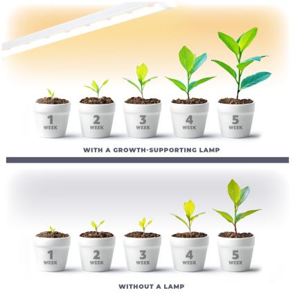 LED svetlo za uzgoj biljaka GROWLY LED/15W/230W