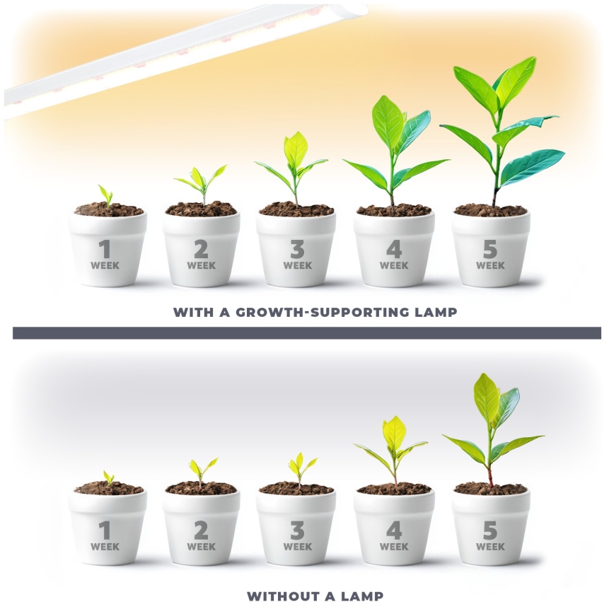 LED svetlo za uzgoj biljaka GROWLY LED/15W/230W