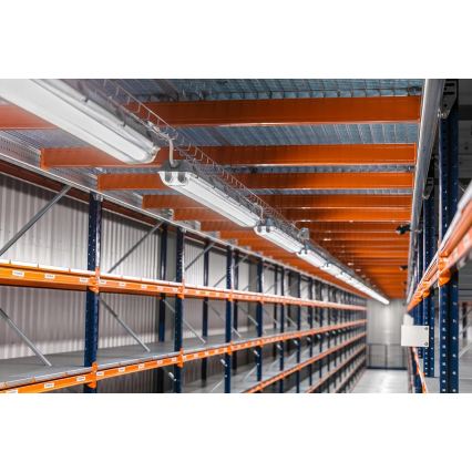 LED tehnička fluorescentna svetiljka T8 2xG13/20W/230V 6500K 120 cm IP65 bela