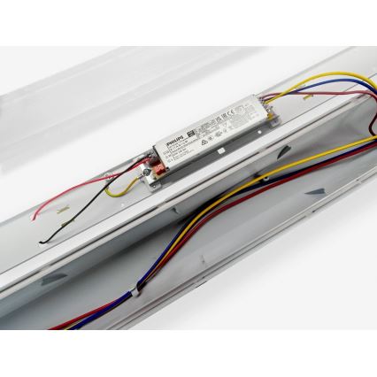 LED tehnička svetiljka LED/50W/230V 4000K 150 cm IP65