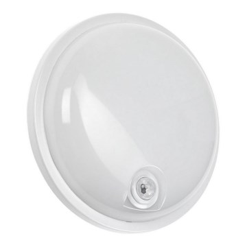 LED tehnička svetiljka sa PIR senzorom LED/20W/230V IP54