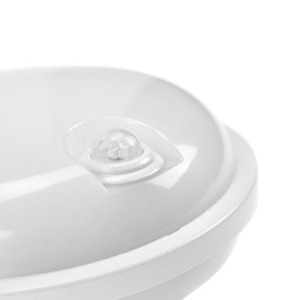 LED tehnička svetiljka sa PIR senzorom LED/20W/230V IP54