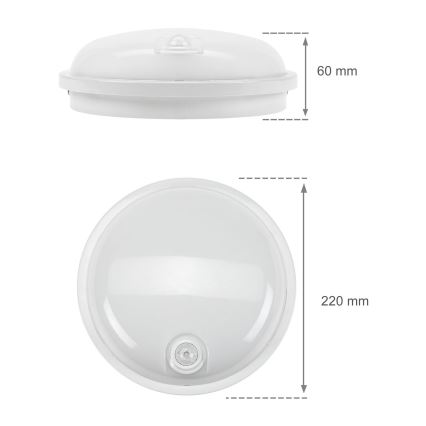 LED tehnička svetiljka sa PIR senzorom LED/20W/230V IP54