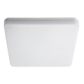 LED tehničko svetlo LED/18W/230V 4000K IP54