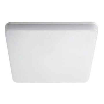 LED tehničko svetlo LED/18W/230V 4000K IP54