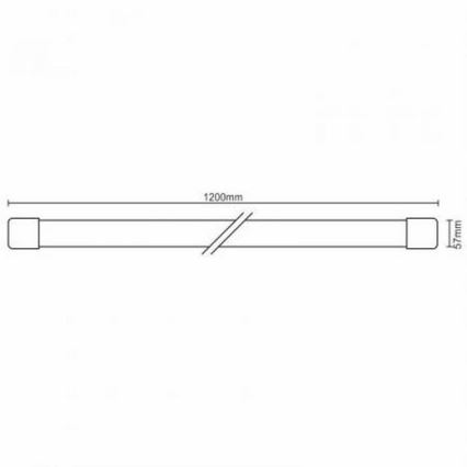 LED tehničko svetlo LED/36W/230V IP40