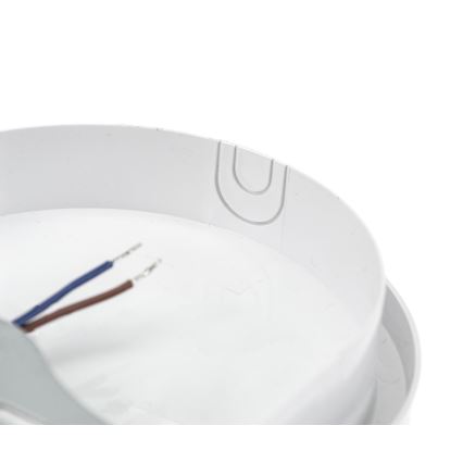 LED tehničko svetlo sa PIR senzorom LED/20W/230V IP54