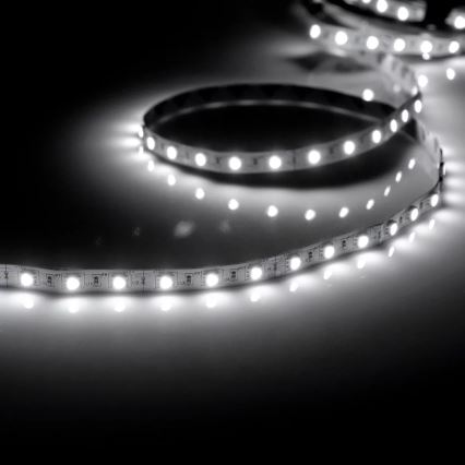 LED traka 5m 28W/12V IP20 6500K