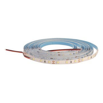 LED traka DAISY, prigušiva, 5 m, hladna bela