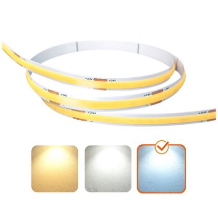 LED traka za spoljašnju upotrebu TRAMO LED/50W/24V 5m IP65 6500K