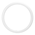 LED trubica G10q/20W/230V 4000K - Aigostar