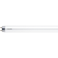 LED trubica Philips MASTER T8 G13/6W/110V 4000K 45 cm