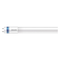 LED trubica Philips MASTER T8 G13/8W/50V 6500K 60 cm