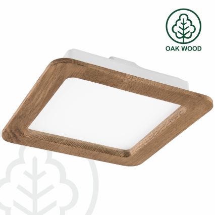 LED ugradna svetiljka WOODY SPOT LED/17W/230V 3000K orah 18,5x18,5 cm