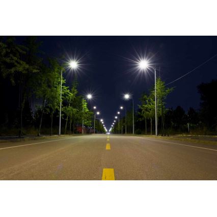 LED Ulična lampa BOSTON LED/35W/230V IP65