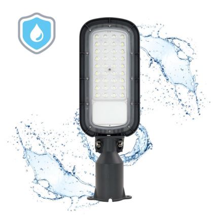 LED ulična lampa BRELUXO LED/50W/230V 4000K IP65
