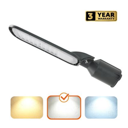 LED ulična lampa BRELUXO LED/50W/230V 4000K IP65