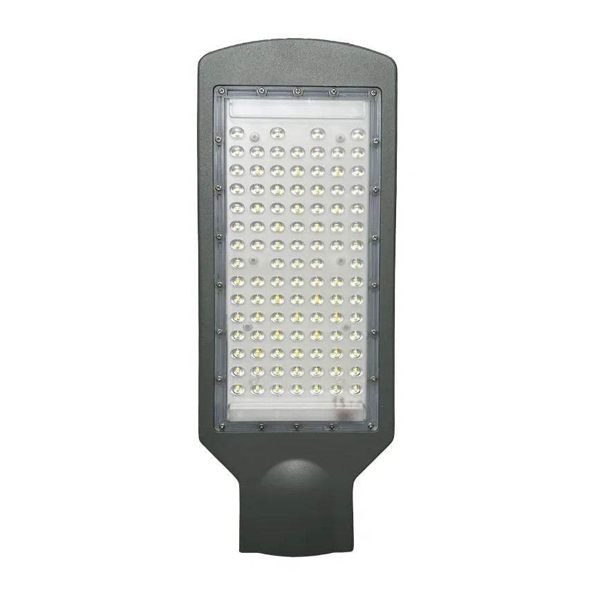 LED ulična lampa LED/100W/170-400V IP65