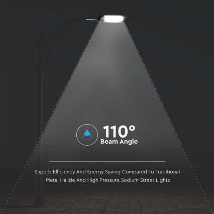 LED ulična lampa LED/30W/230V 6500K IP65