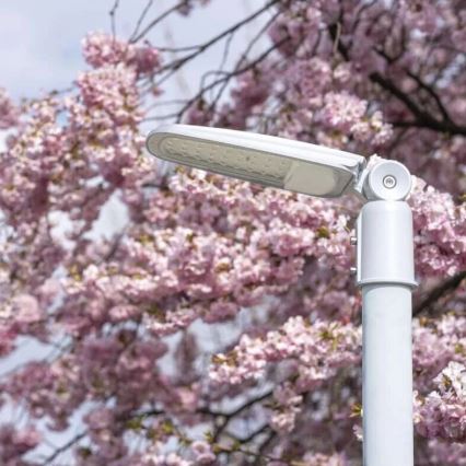 LED ulična lampa SOLIS LED/30W/230V 3000K IP65