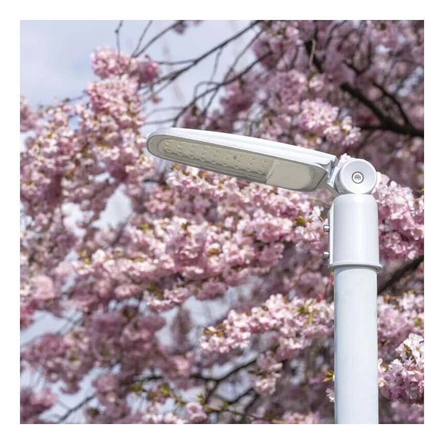 LED ulična lampa SOLIS LED/30W/230V 3000K IP65