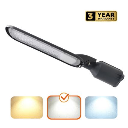 LED ulična svetiljka BRELUXO LED/100W/230V 4000K IP65