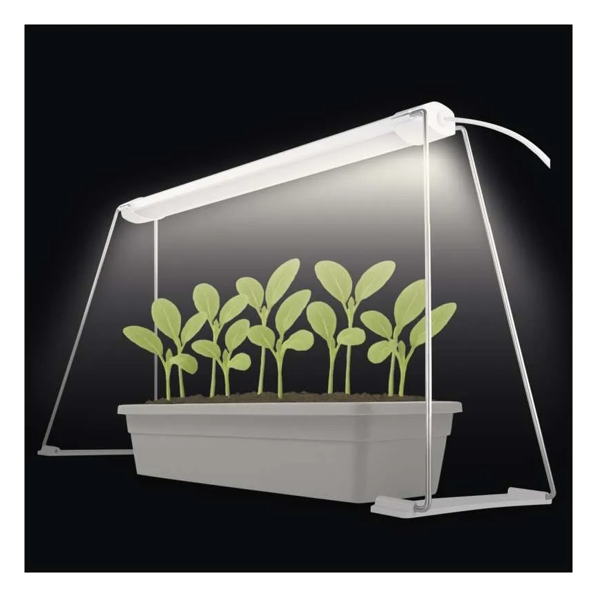 LED unutrašnja lampa za uzgoj biljaka GROW LED/15W/230V