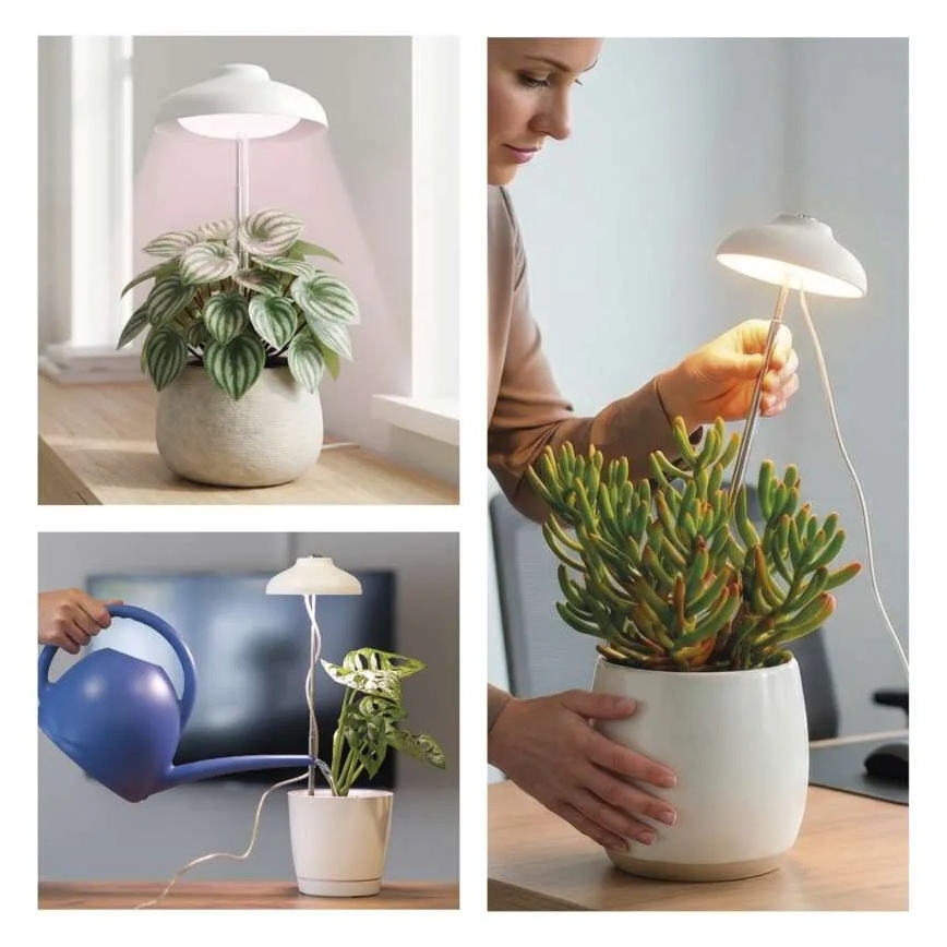 LED unutrašnja lampa za uzgoj biljaka GROW LED/5W/5V
